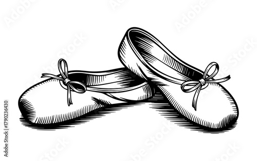 a pair of ballet flats with bows, featuring elegant shading and classic feminine fashion style.