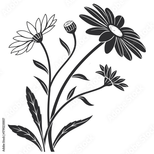 Daisy Flower Line Art with Buds and Leaves