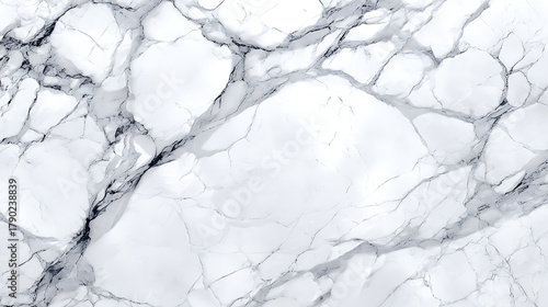 White marble texture with dark veining and subtle gray shadows black
