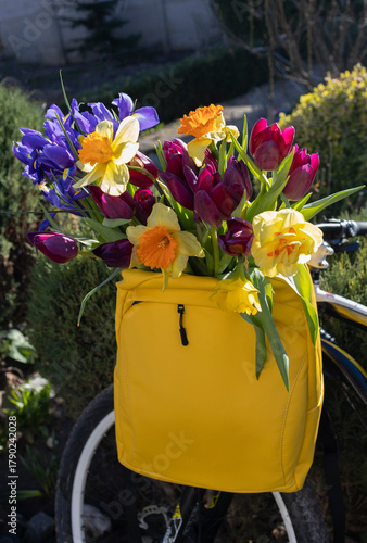 bright yellow backpack with a bouquet of colorful spring flowers daffodils, irises, and tulips hangs from the handlebars of a bicycle. A floral gift, a loving greeting. Positive vibes, active walks.