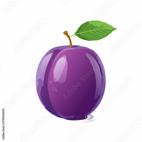 A single plump plum with vibrant purple tones and subtle highlights glistening on its smooth skin.