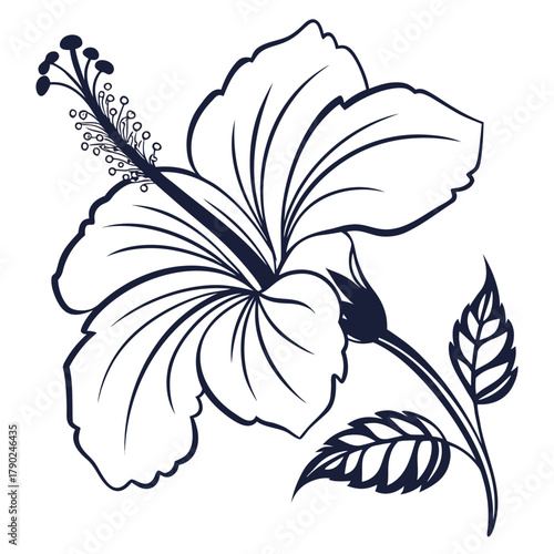 Hibiscus Flower Line Art with Bud and Leaves
