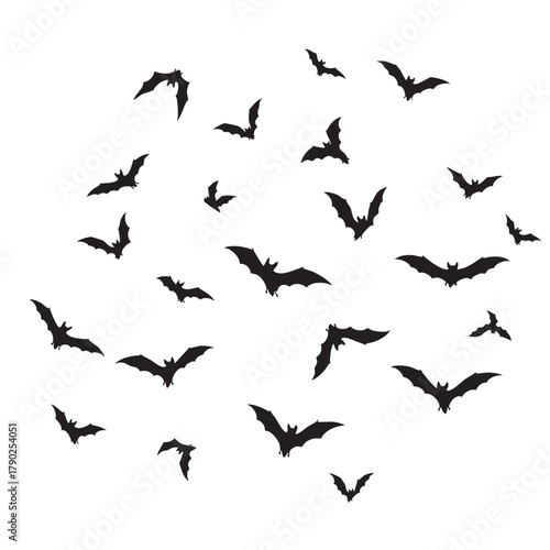 A swarm of black bat silhouettes flying in various directions against a white background bats
