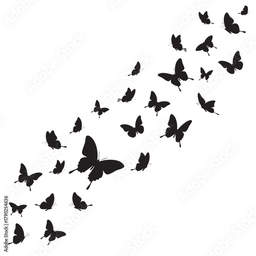 Black butterfly silhouettes flying in a swarm across a white background vector