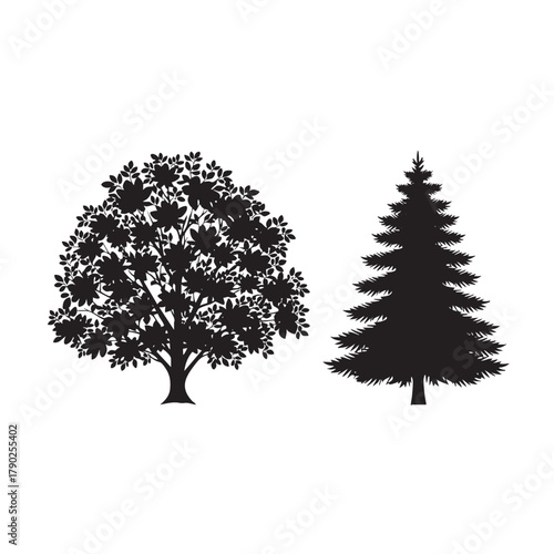 Black silhouette of a deciduous tree with round foliage and a coniferous tree on a white background