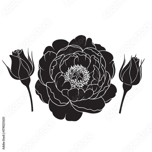 Black silhouette of a large peony flower with two rose buds on a white background floral