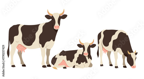 A group of three stylized black and white dairy cows depicted in various farm poses including standing, resting, and grazing.