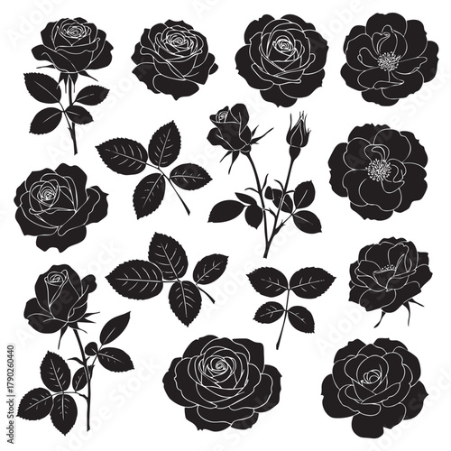 Collection of black silhouette rose flowers and leaves with white outlines on white background