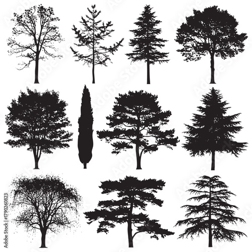 Collection of black silhouette trees and bushes on white background vector