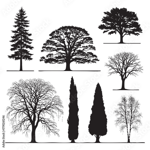 Collection of black silhouette trees including evergreen deciduous weeping and cypress varieties