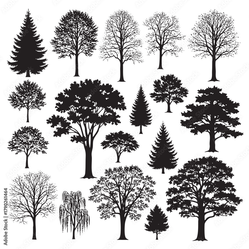 Obraz premium Collection of black silhouette trees including pine oak maple and weeping willow tree silhouette
