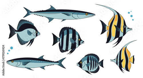An illustration featuring a diverse collection of marine fish, including streamlined ocean predators and colorful tropical species.
