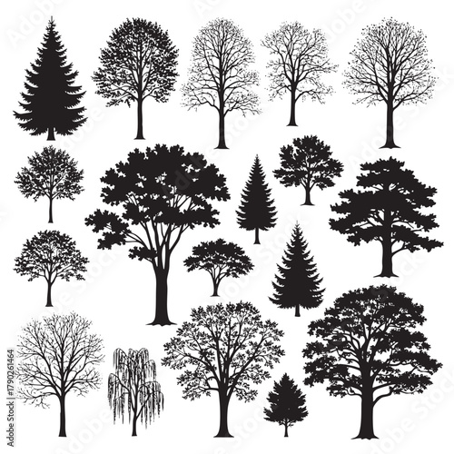 Collection of black silhouette trees including pine oak maple and weeping willow tree silhouette