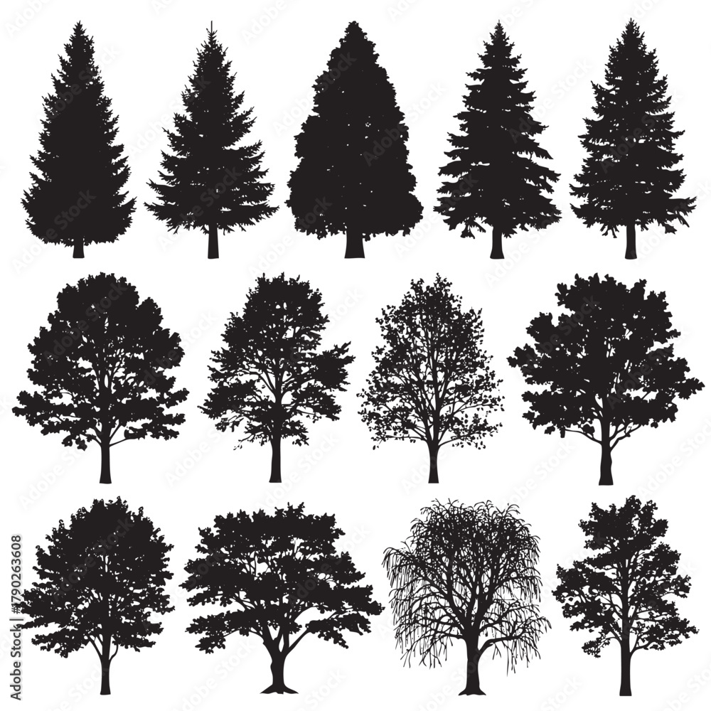 Obraz premium Collection of black tree silhouettes including pine oak maple and willow varieties pine tree