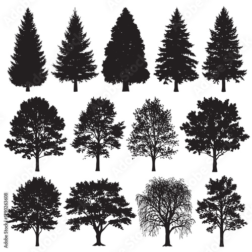 Collection of black tree silhouettes including pine oak maple and willow varieties pine tree