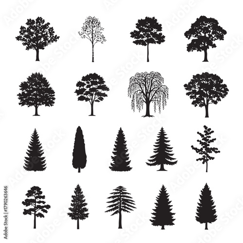 Collection of black tree silhouettes of various species on a white background vector