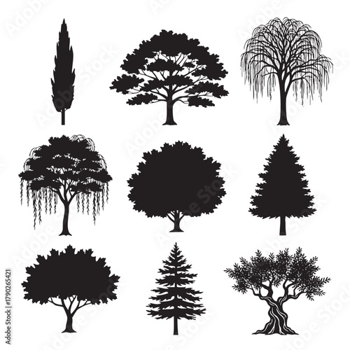 Collection of nine black tree silhouettes on white background including willow oak pine and olive trees