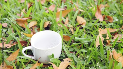 Drip coffee on the autumn morning grass