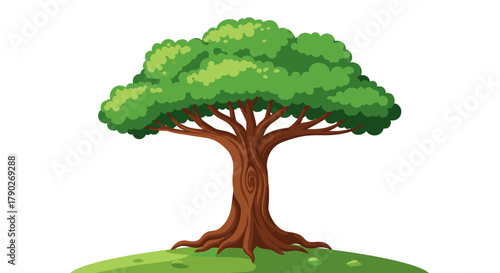 Illustration of a lush deciduous tree with vibrant green foliage and sturdy brown trunk isolated