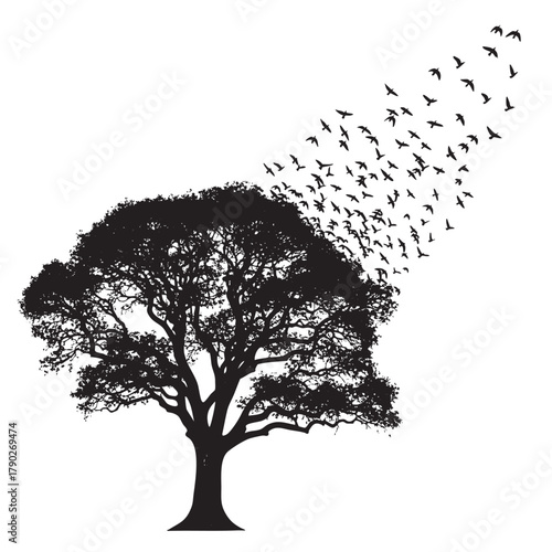 Silhouette of a large tree with a flock of birds flying away from its branches vector