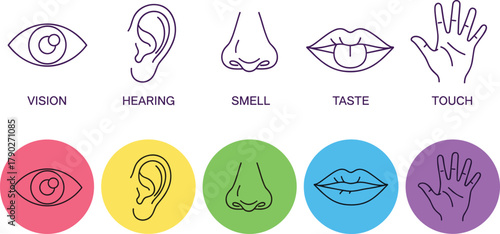 The Five Human Senses Icons Set: Vision, Hearing, Smell, Taste, Touch Line Art Vector Illustration.