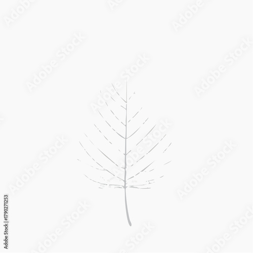 Delicate Leaf Illustration Minimalist Design for Nature and Botanical Themes, Simple Line Art