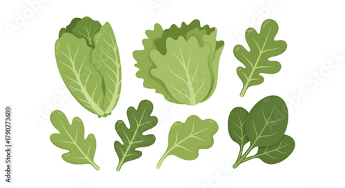 Vibrant assortment of leafy greens for healthy living and nutritious food concept