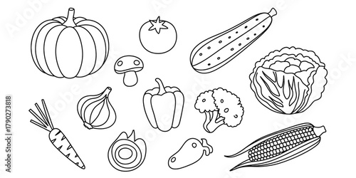 Outline drawing of a diverse collection of farm-fresh vegetables, perfect for coloring books, healthy eating themes, and culinary projects Vector