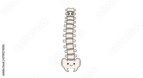 Whimsical spine character illustration for anatomical health awareness and cute medical