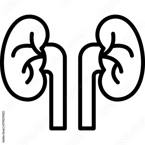Nephrology line icon