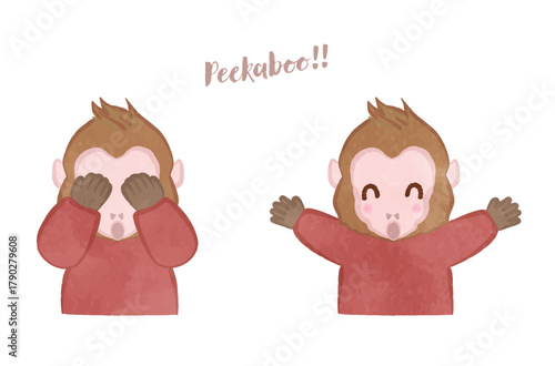 Cute monkey playing peekaboo !!