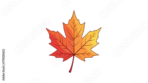 A single autumn maple leaf in red and orange hues