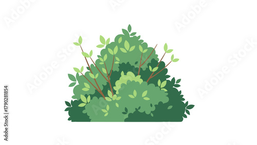 A stylized illustration of a dense green bush with brown branches and light green leaves