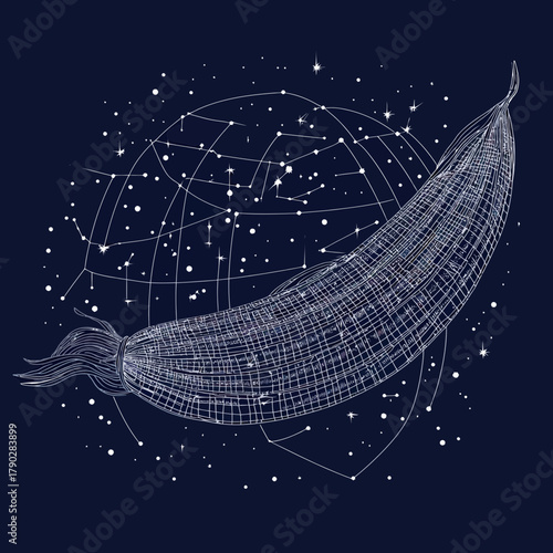 Wireframe sweetcorn vector illustration with starry sky and constellation connections on dark minimalist background for graphic design or print