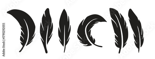feather set collection
