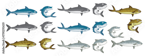 Mackerel vector cartoon illustration