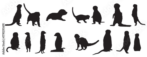 macow vector silhouette vector set 