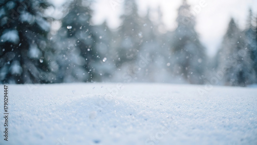 Wallpaper Mural SnowfallInForest Torontodigital.ca