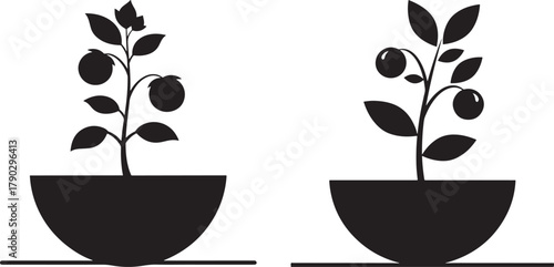 Two potted plants with berries silhouette