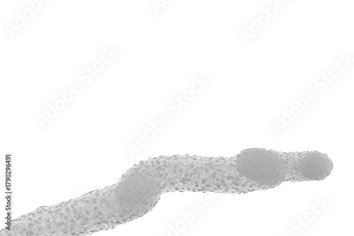 Obraz na plátně A textured, pale gray, elongated form, resembling a root or worm with small bumps, extends across a stark black void