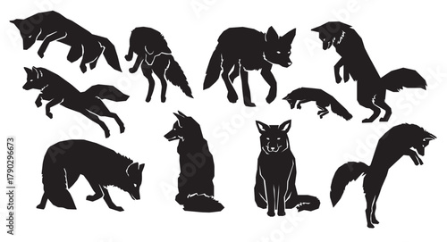 fox silhouette collection
