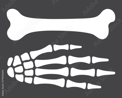 Human bone and hand skeleton vector illustration on dark background