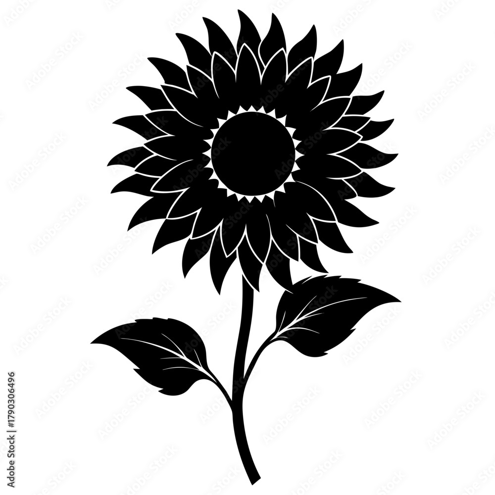 Fototapeta premium sunflower on white background
