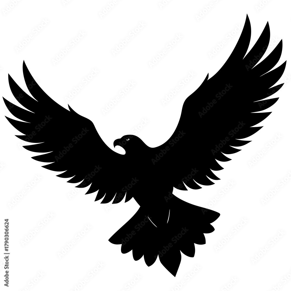 Obraz premium eagle in flight