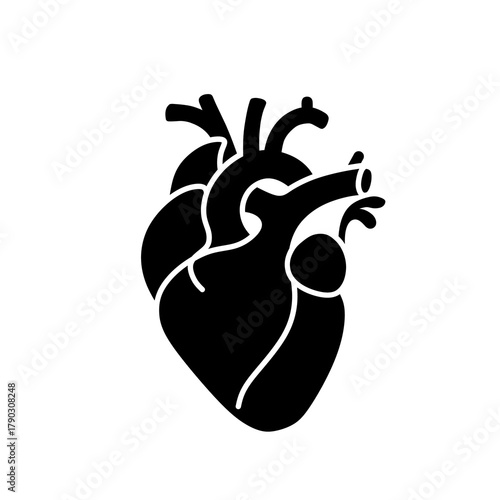 Anatomical Heart Black Silhouette for Medical and Health Designs
