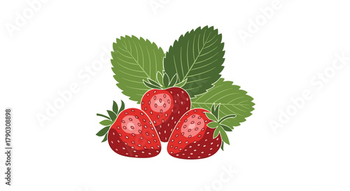 A trio of vibrant red strawberries nestled amongst lush green leaves against a clean white background.
