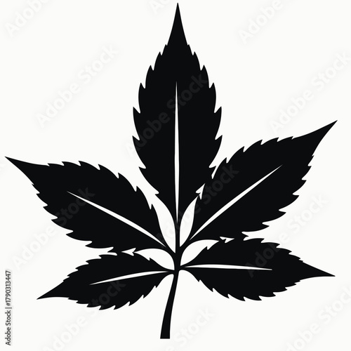 leaf, cannabis, marijuana, hemp, drug, marihuana