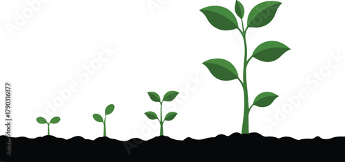 People Enjoying Picnic & Cycling in Park Friends, Nature, Summer Activities Illustration