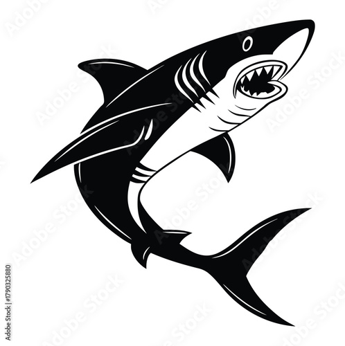 Aggressive black and white tattoo style illustration of a great white shark with open mouth and sharp teeth