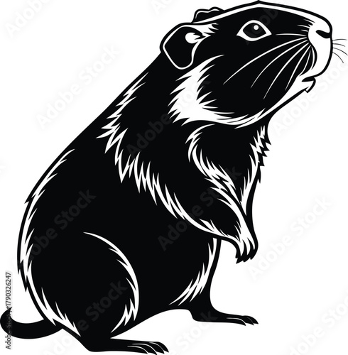 Black and white illustration of a guinea pig standing on its hind legs looking to the side with detailed fur texture